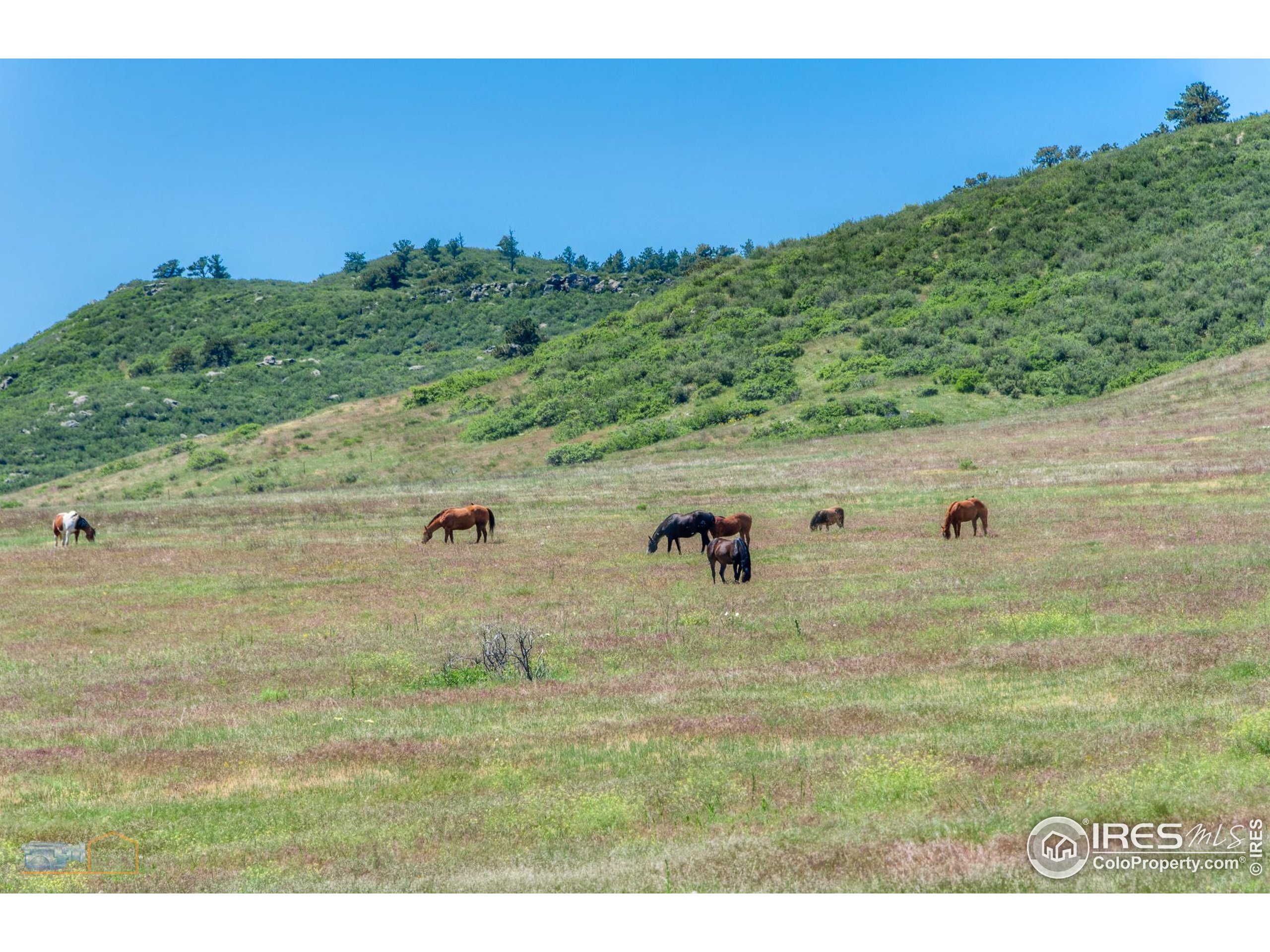 0 County Road Berthoud, CO 80513 - Photo 11 of 30