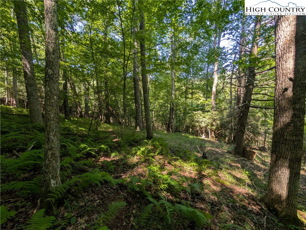 a view of outdoor space and trees