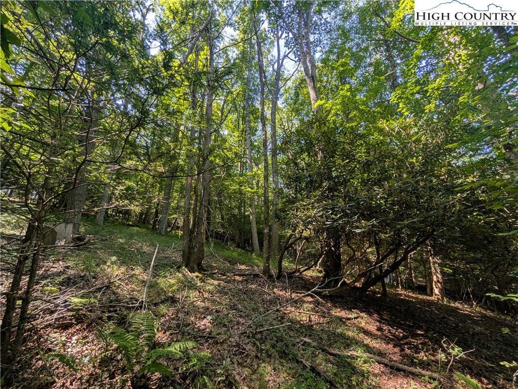 Sharon Sweeney Road Crumpler, NC 28617 - Photo 12 of 25 a backyard of a house with lots of green space