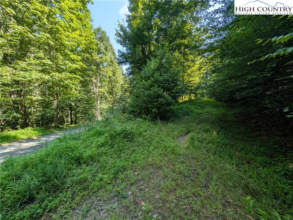 Sharon Sweeney Road Crumpler, NC 28617 - Photo 20 of 25 a view of yard with green space
