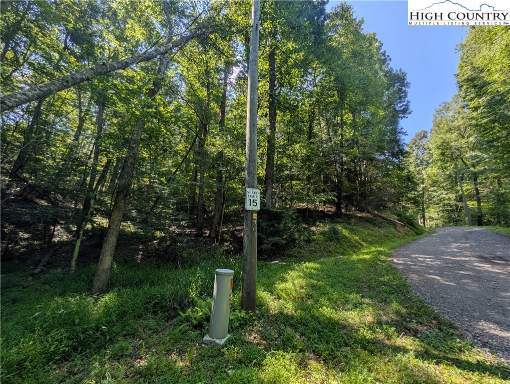 Sharon Sweeney Road Crumpler, NC 28617 - Photo 22 of 25 a view of a park