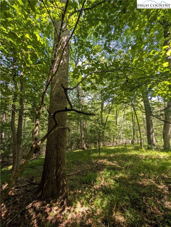 Sharon Sweeney Road Crumpler, NC 28617 - Photo 24 of 25 a backyard of a house with lots of green space