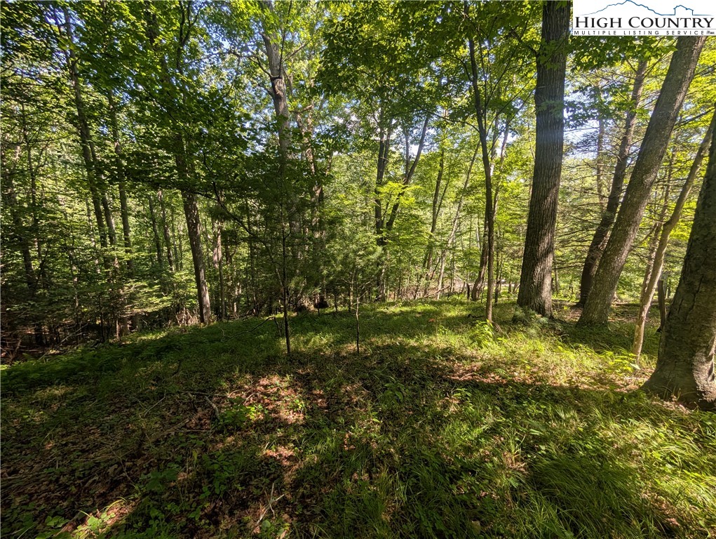 Sharon Sweeney Road Crumpler, NC 28617 - Photo 7 of 25