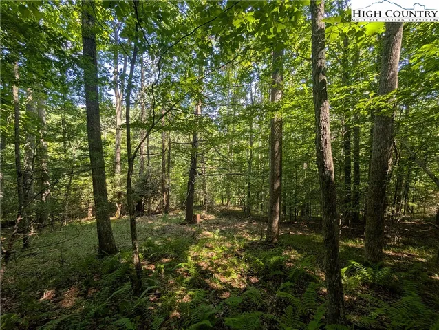 a view of outdoor space and trees all around