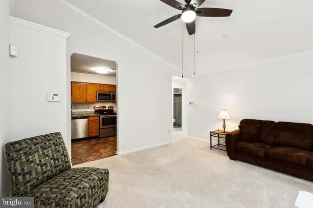 a living room with furniture and a couch