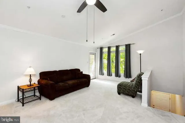 a spacious bedroom with a bed window and a couch