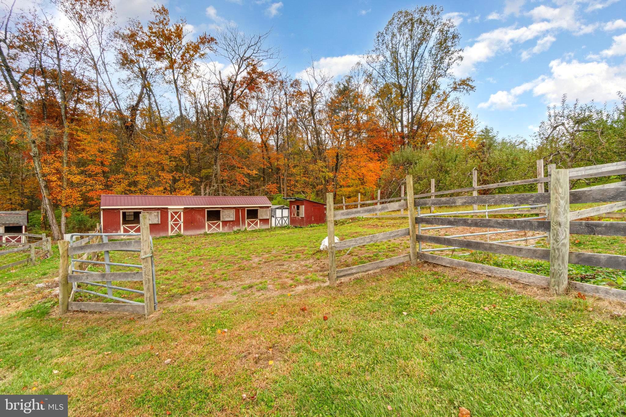 502 Celebration Hill Road Biglerville, PA 17307 - Photo 37 of 67 Horse stalls and fencing for days