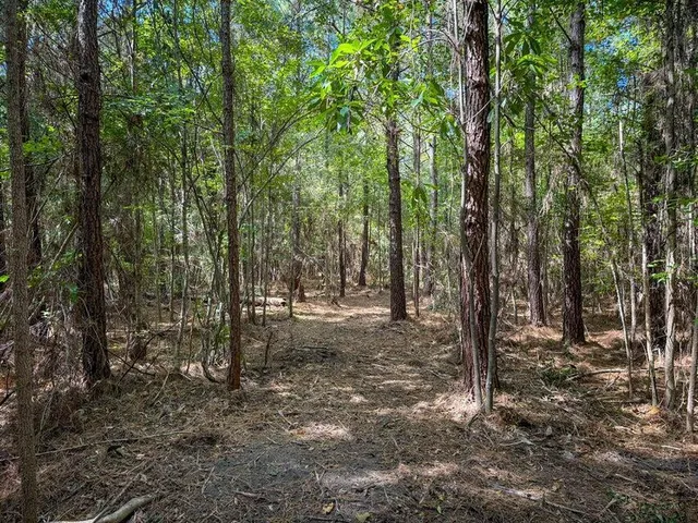 $55,000 | 1 Hard Pinch Road, Moncks Corner, SC 29461