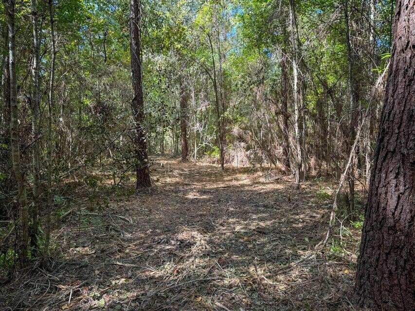 1 Hard Pinch Road Moncks Corner, SC 29461 - Photo 12 of 16 fa005713