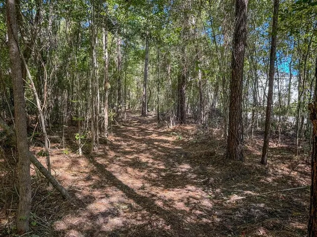 $55,000 | 1 Hard Pinch Road, Moncks Corner, SC 29461