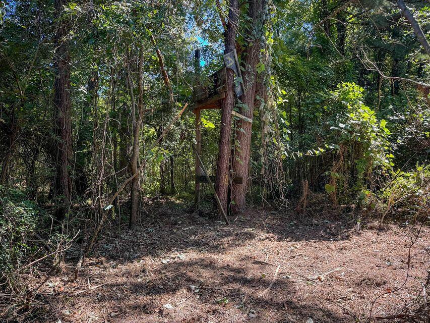 1 Hard Pinch Road Moncks Corner, SC 29461 - Photo 5 of 15 d137d16e