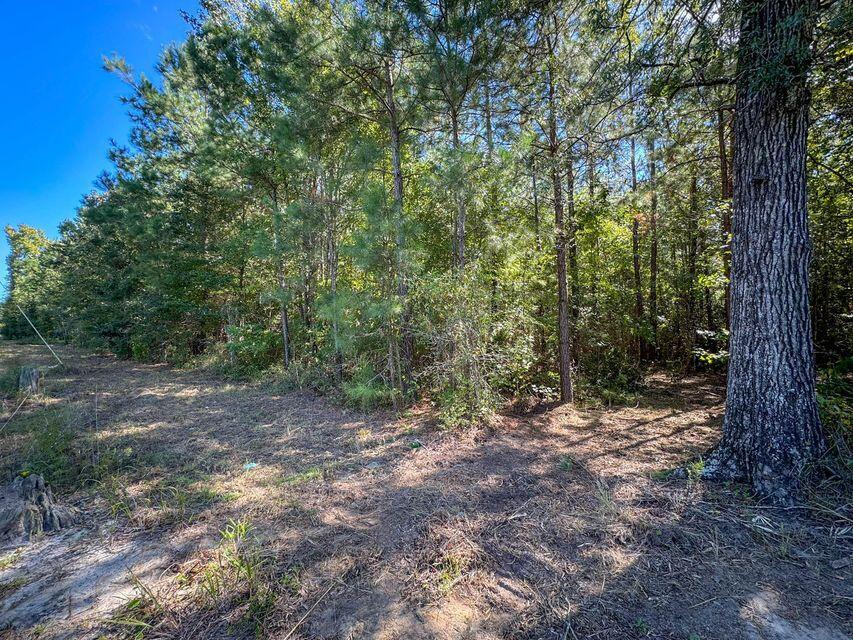 1 Hard Pinch Road Moncks Corner, SC 29461 - Photo 10 of 15 a15d25e1