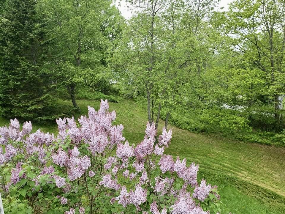 1122 Allen Pond Road Greene, ME 04236 - Photo 41 of 50 IMG_0259