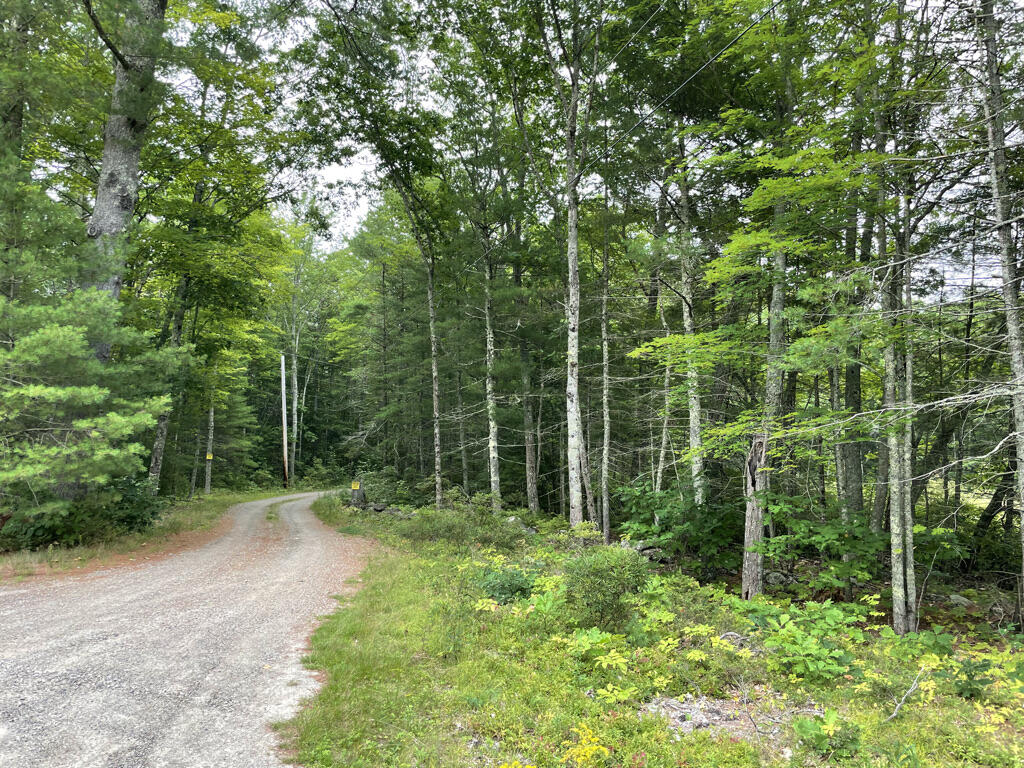 0 Evergreen Road Newcastle, ME 04553 - Photo 9 of 11 E824EEEA-6A64-497C-93D1-F43C8666FF33_1_1