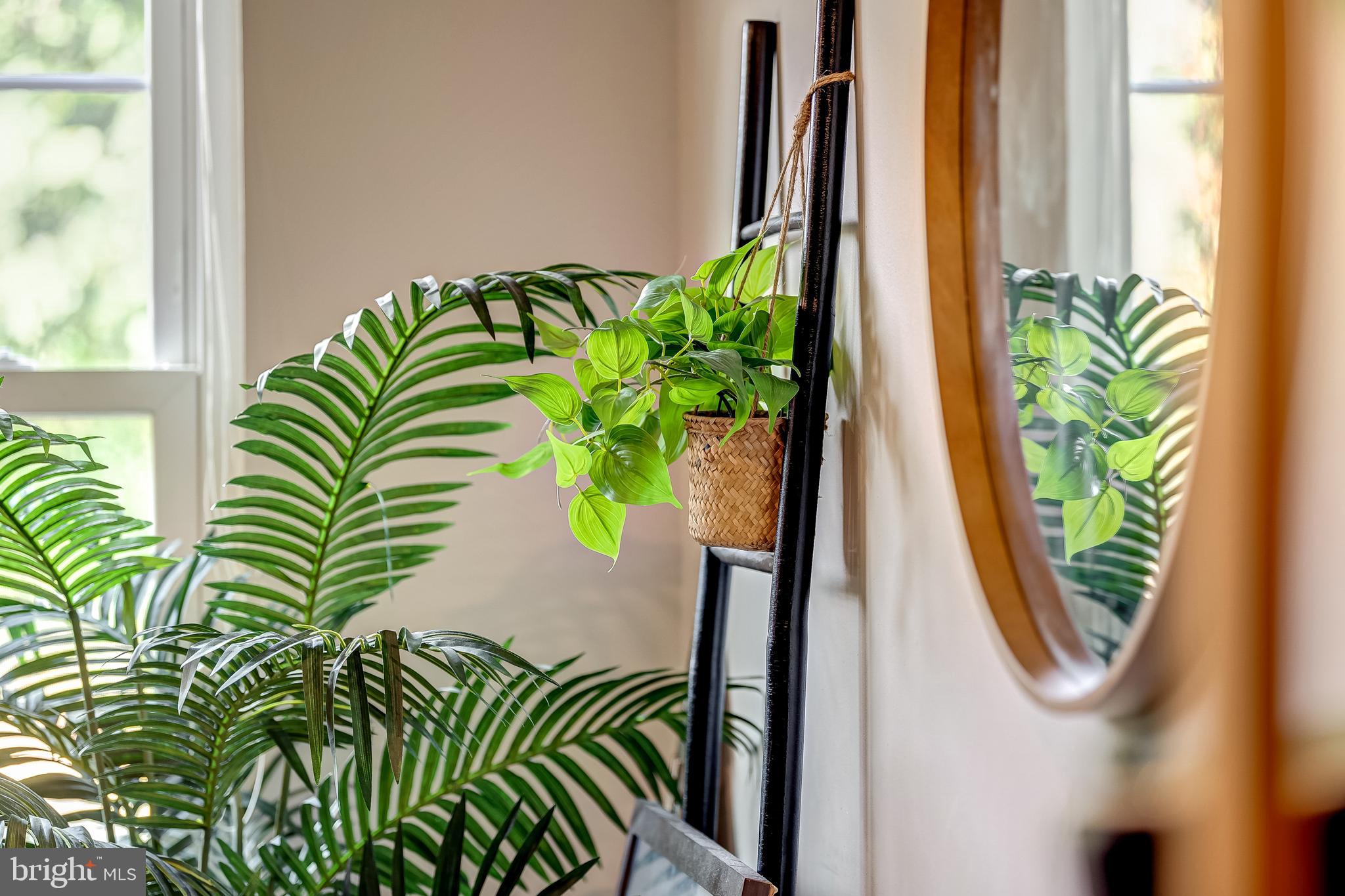 13561 Ruddy Duck Road Clifton, VA 20124 - Photo 6 of 39