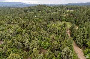 2657 East Oak Tree Drive, Unit 22 Springdale, UT 84767 - Photo 9 of 15 Aerial view of a heavily wooded area