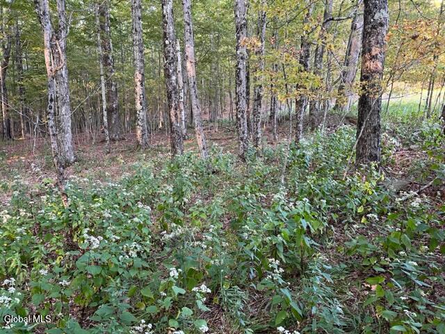 L9.70 Olmo Lane Rensselaerville, NY 12147 - Photo 3 of 18 IMG_4642 (1)