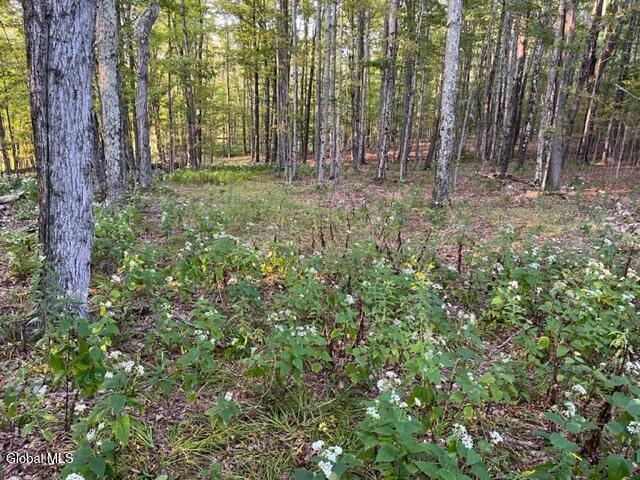 L9.70 Olmo Lane Rensselaerville, NY 12147 - Photo 4 of 18 IMG_4641