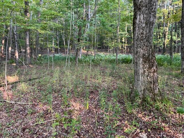 L9.70 Olmo Lane Rensselaerville, NY 12147 - Photo 5 of 18 IMG_4640