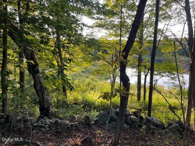 L9.70 Olmo Lane Rensselaerville, NY 12147 - Photo 8 of 18 IMG_4637