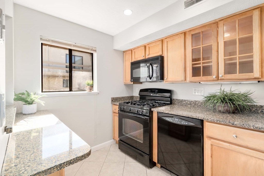 120 Beaconsfield Road, Unit 9 Brookline, MA 02445 - Photo 7 of 20 a kitchen with stainless steel appliances granite countertop a stove a sink and a microwave