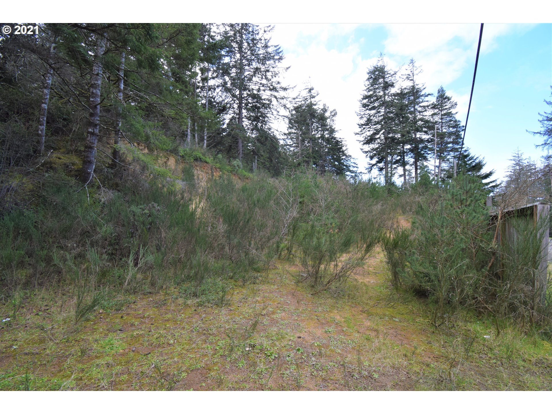 67071 Spinreel Road North Bend, OR 97459 - Photo 5 of 13 a view of a forest