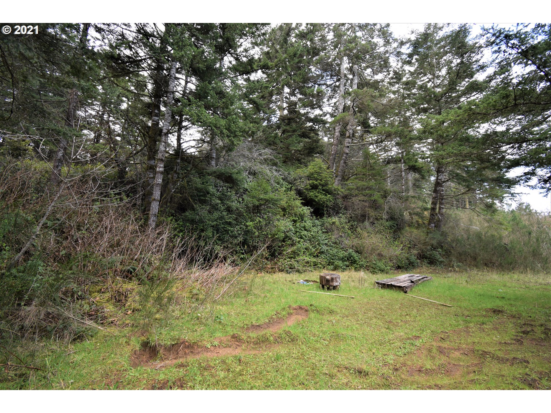 67071 Spinreel Road North Bend, OR 97459 - Photo 7 of 13 a view of a forest with trees