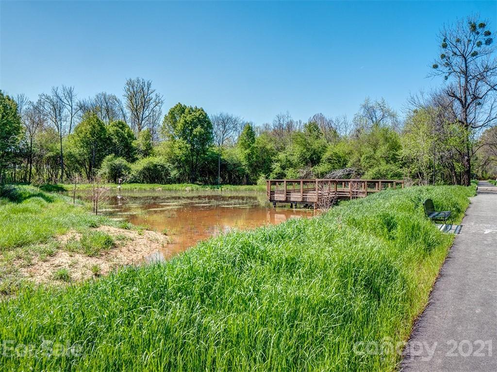 531 Old Dixie Road Lancaster, SC 29720 - Photo 29 of 44 a view of a water pond with green yard