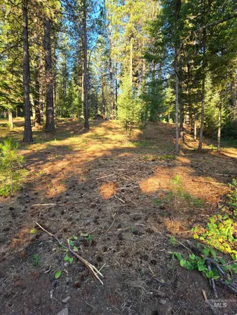 $80,000 | Tbd Sorrel Drive, New Meadows, ID 83654