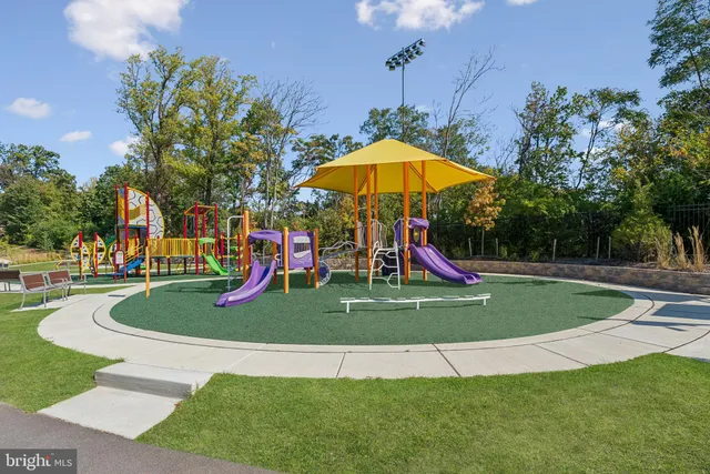 a park with plants and trees