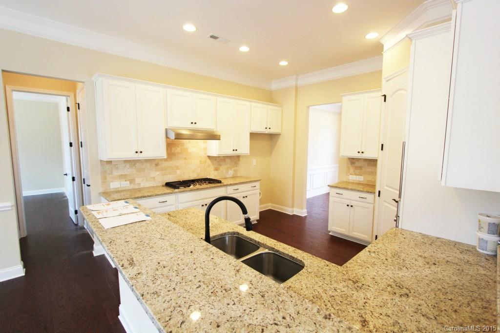 303 Calming Way Tega Cay, SC 29708 - Photo 4 of 24