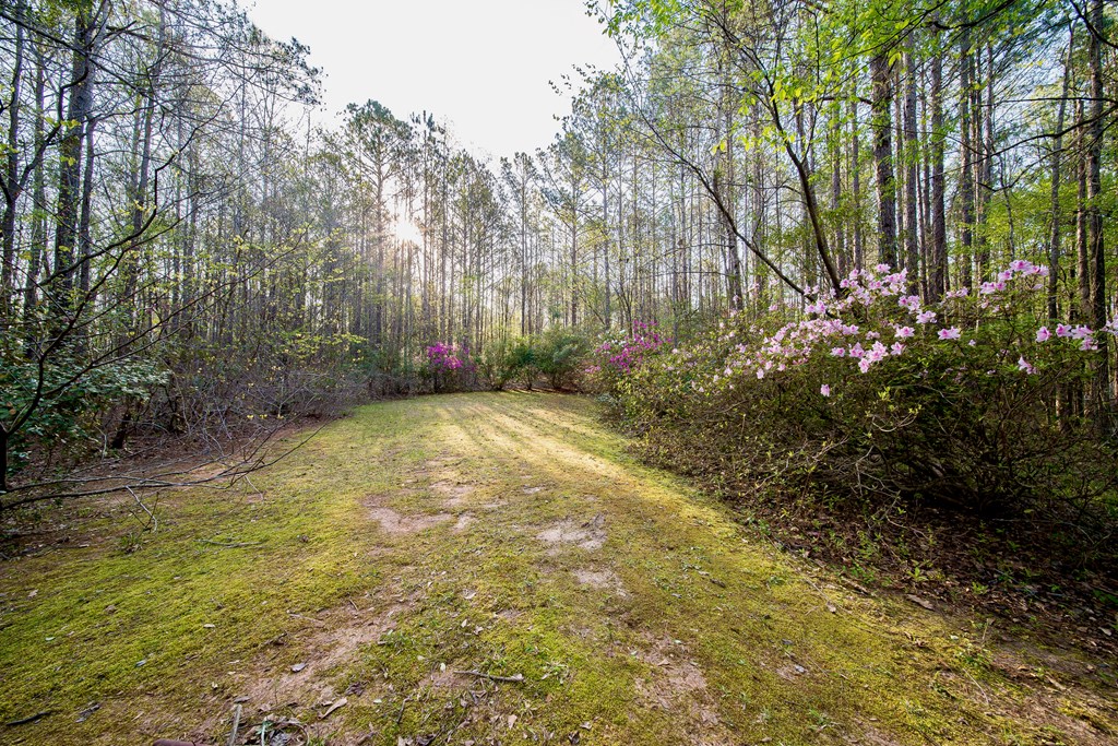 626 Plantation Creek Road Fortson, GA 31808 - Photo 33 of 37 Gallery Image 33
