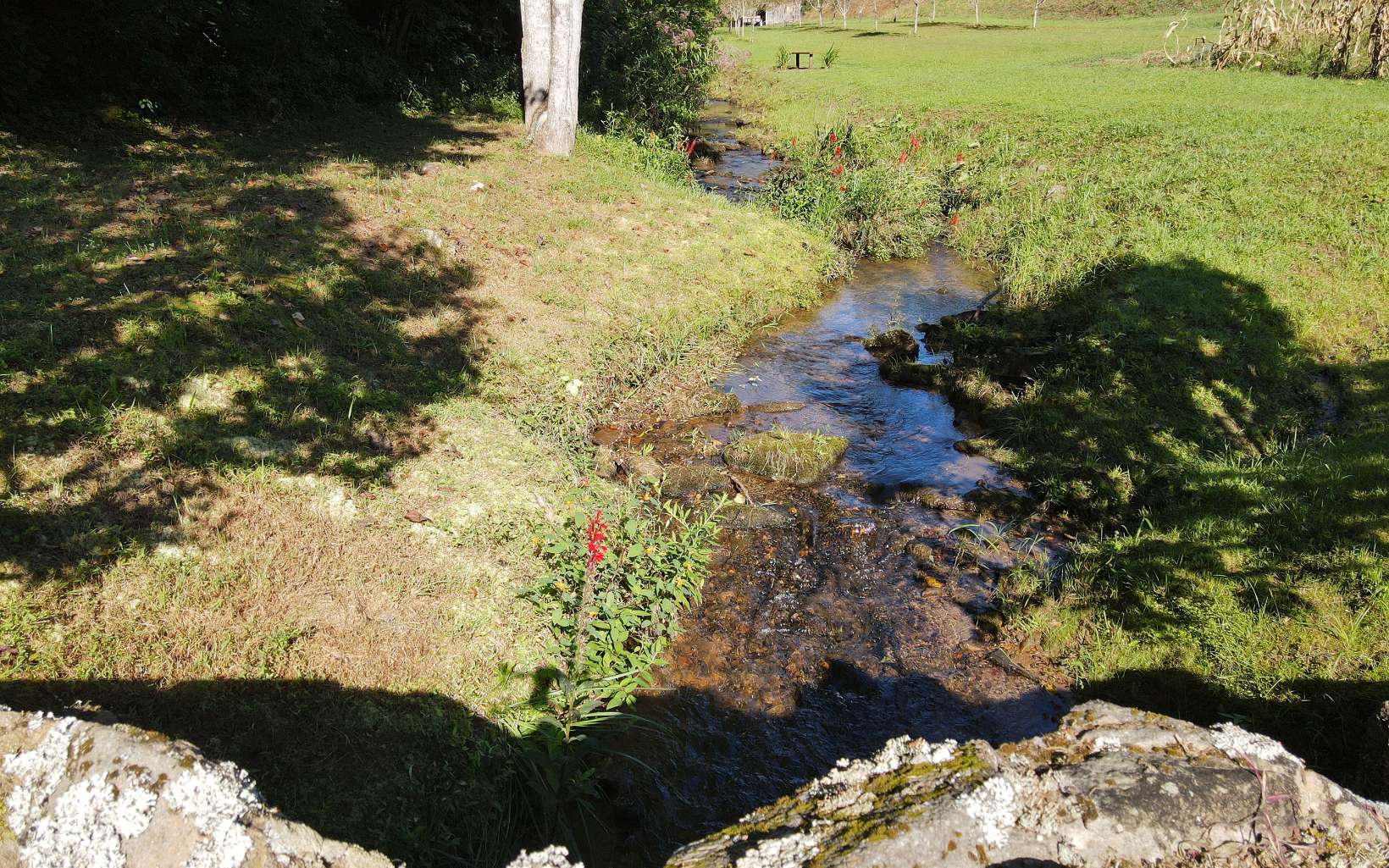 2261 Grape Creek Road Murphy, NC 28906 - Photo 26 of 62 Additional View