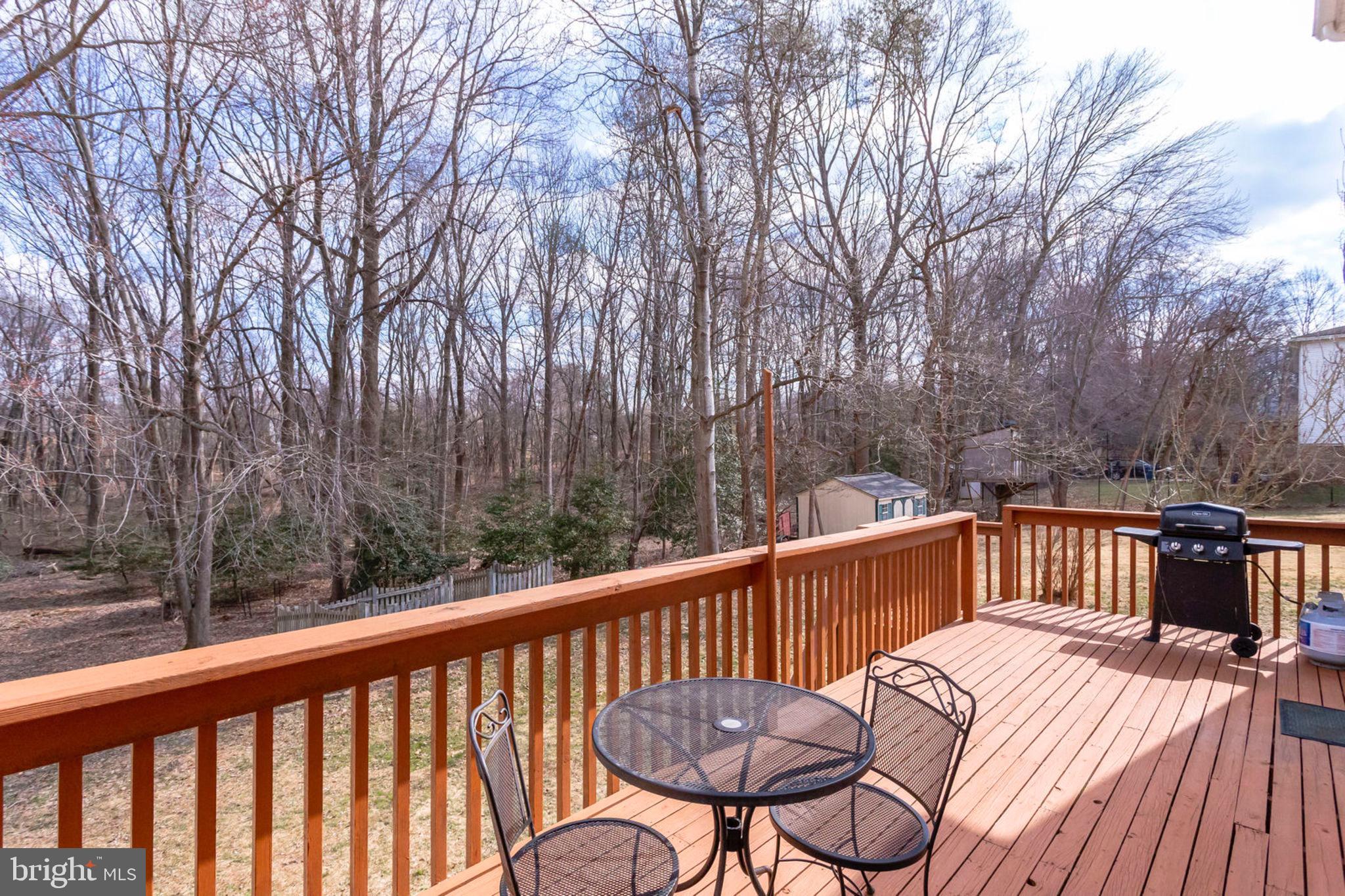 2825 Rifle Ridge Road Oakton, VA 22124 - Photo 51 of 53 Your private oasis