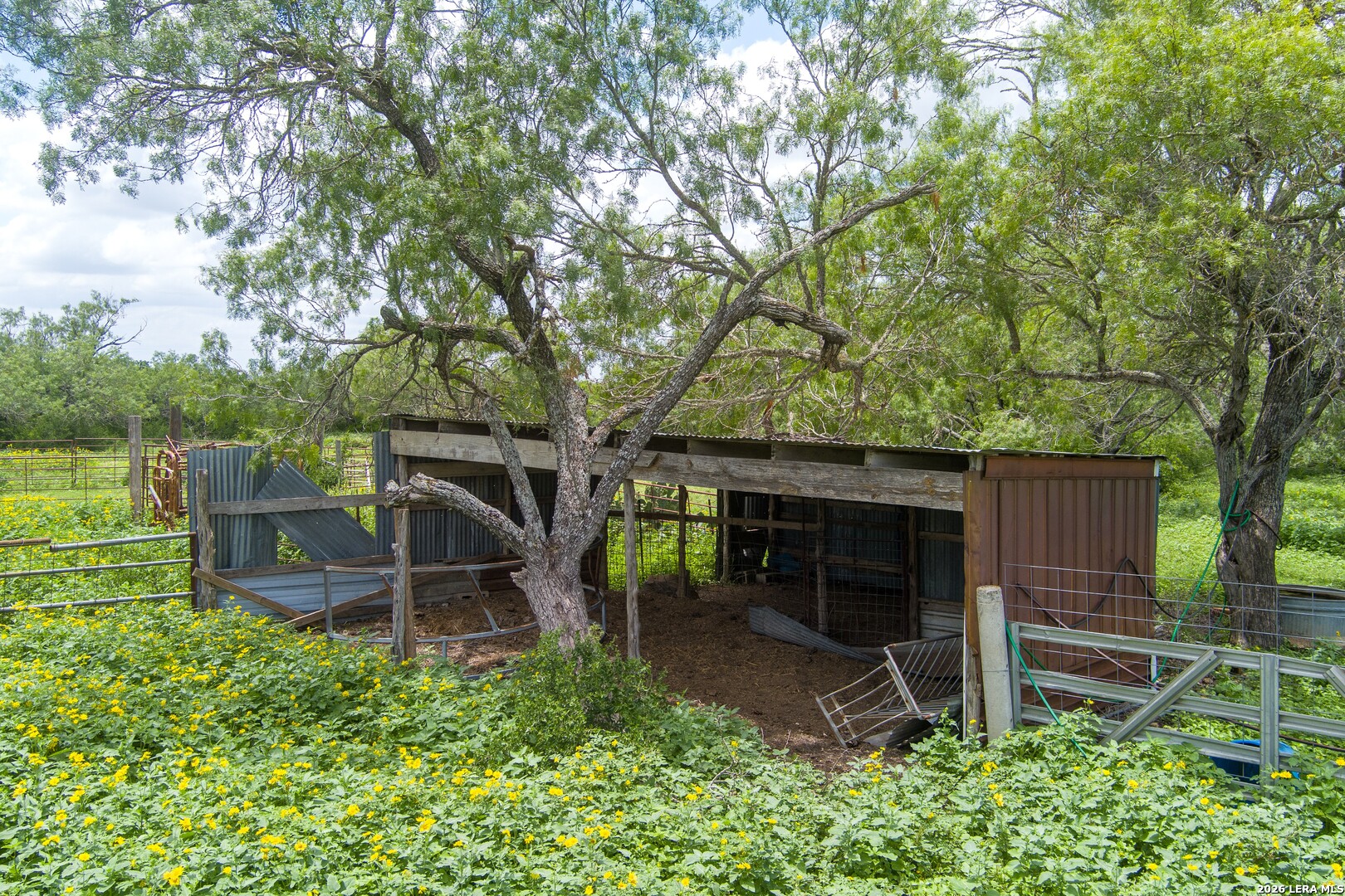 4515 Stapper Road St. Hedwig, TX 78152 - Photo 48 of 64