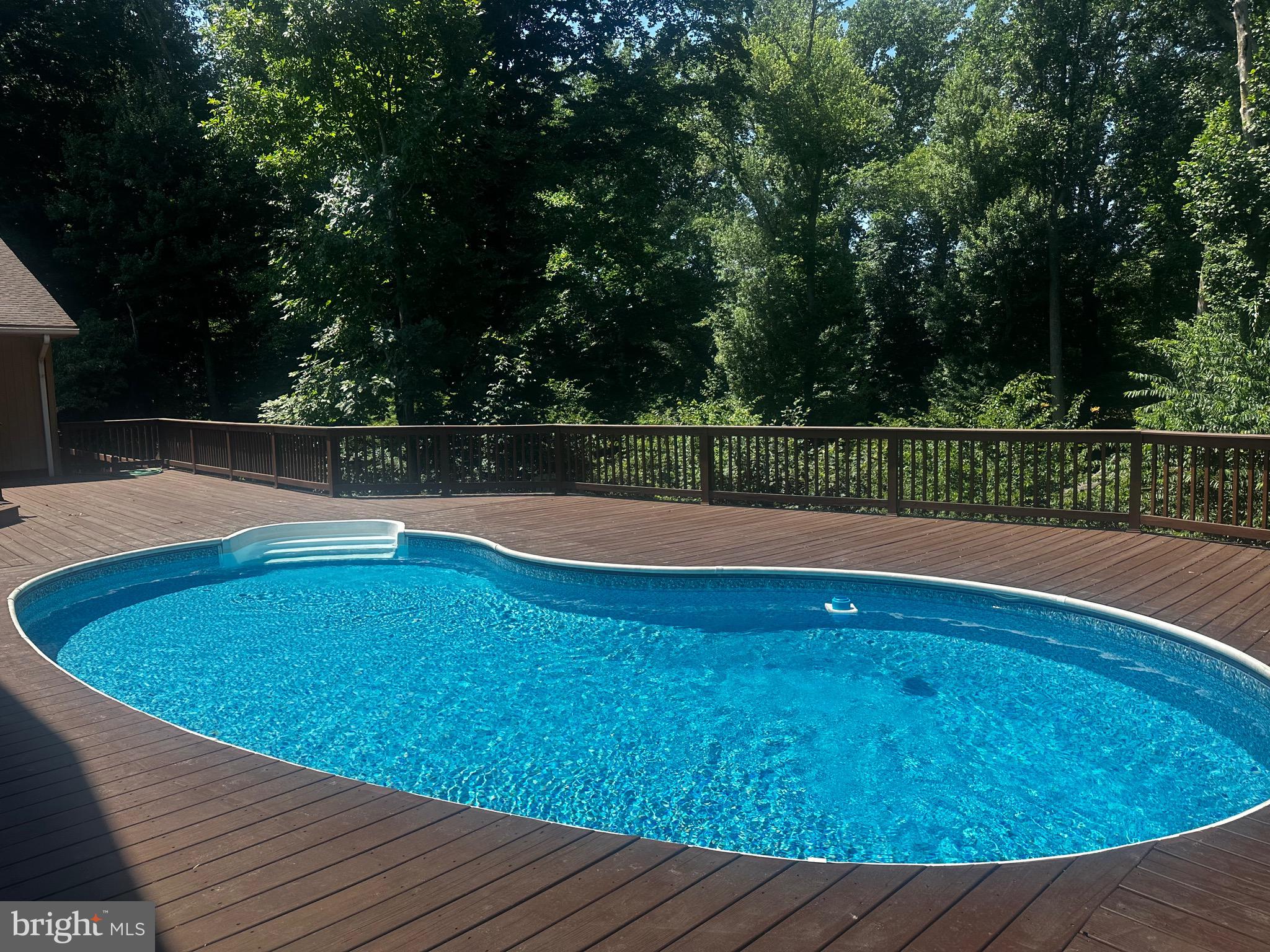 1343 Bohemia Mill Road Middletown, DE 19709 - Photo 6 of 20 a view of swimming pool with a yard