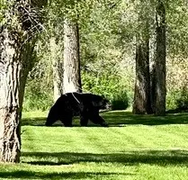 a view of a lake with a house in the background