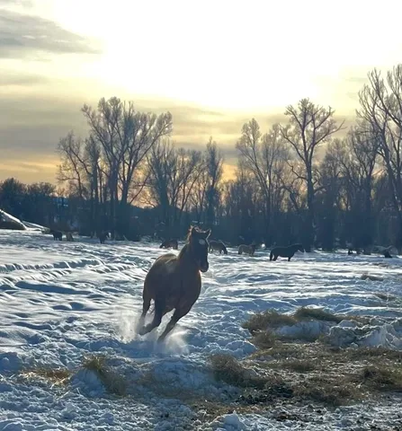 a view of outdoor area