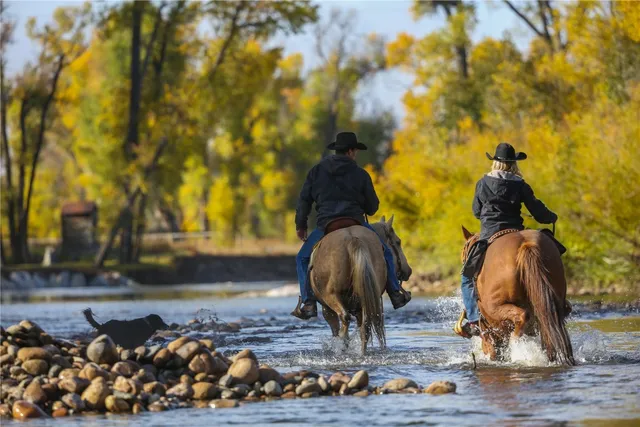 a close up of a plant in a garden