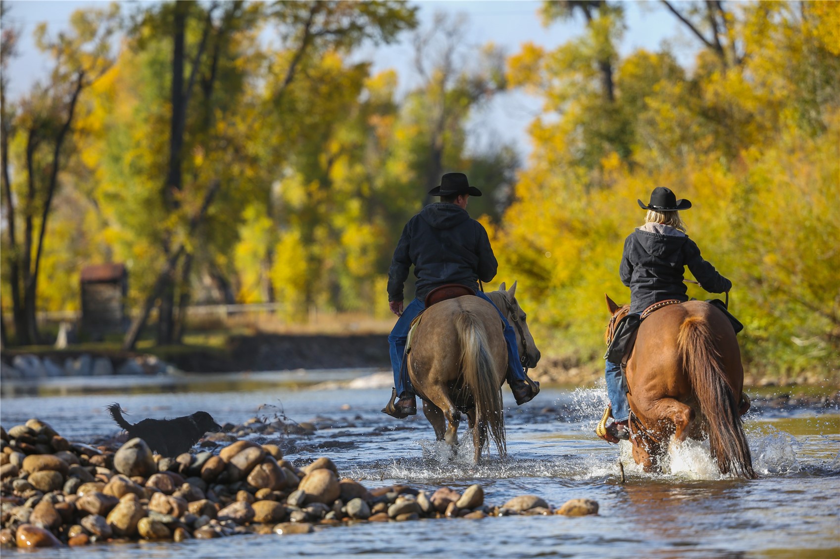 27095 Fire Song Road Steamboat Springs, CO 80487 - Photo 4 of 39