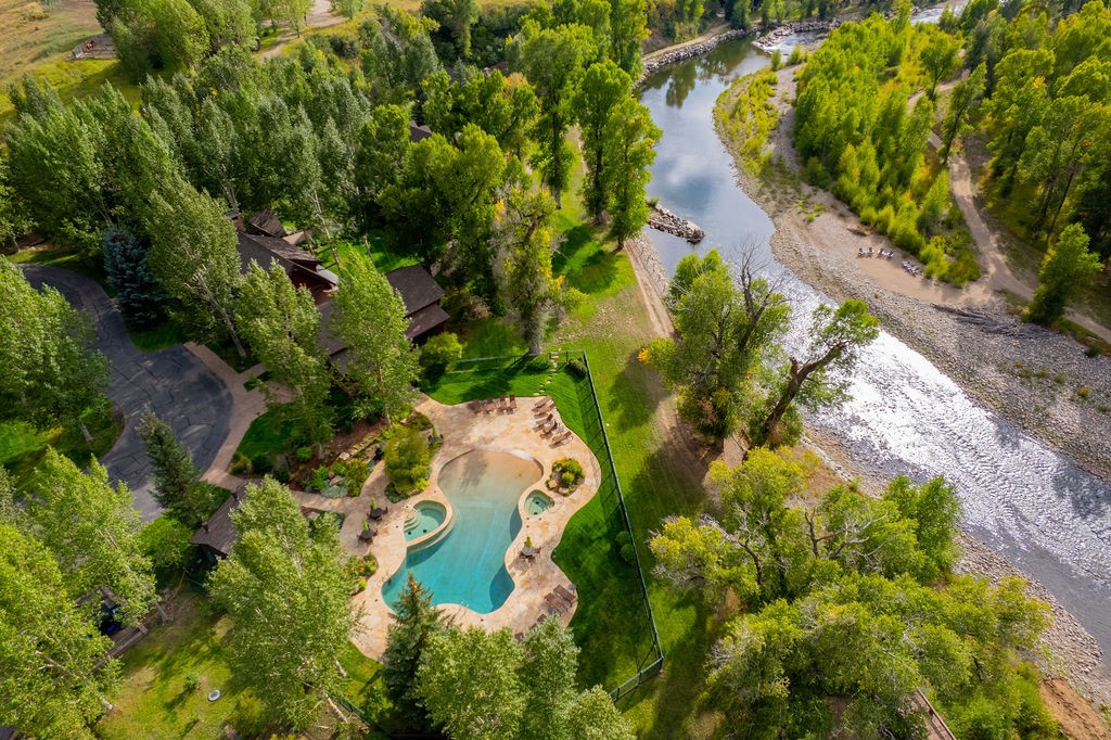 27095 Fire Song Road Steamboat Springs, CO 80487 - Photo 5 of 39 a close up of a plant in a garden