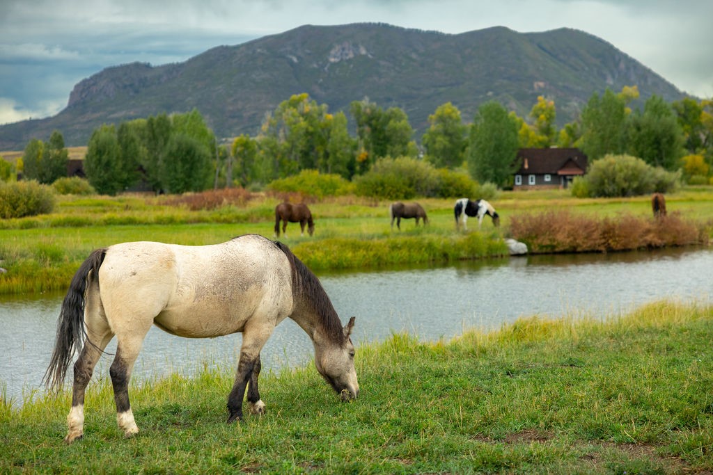 27095 Fire Song Road Steamboat Springs, CO 80487 - Photo 6 of 39 an aerial view of a house with pool and a yard