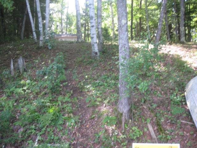 7285 Bluegill Lake Road Lake Tomahawk, WI 54539 - Photo 15 of 20 Gallery Image 15
