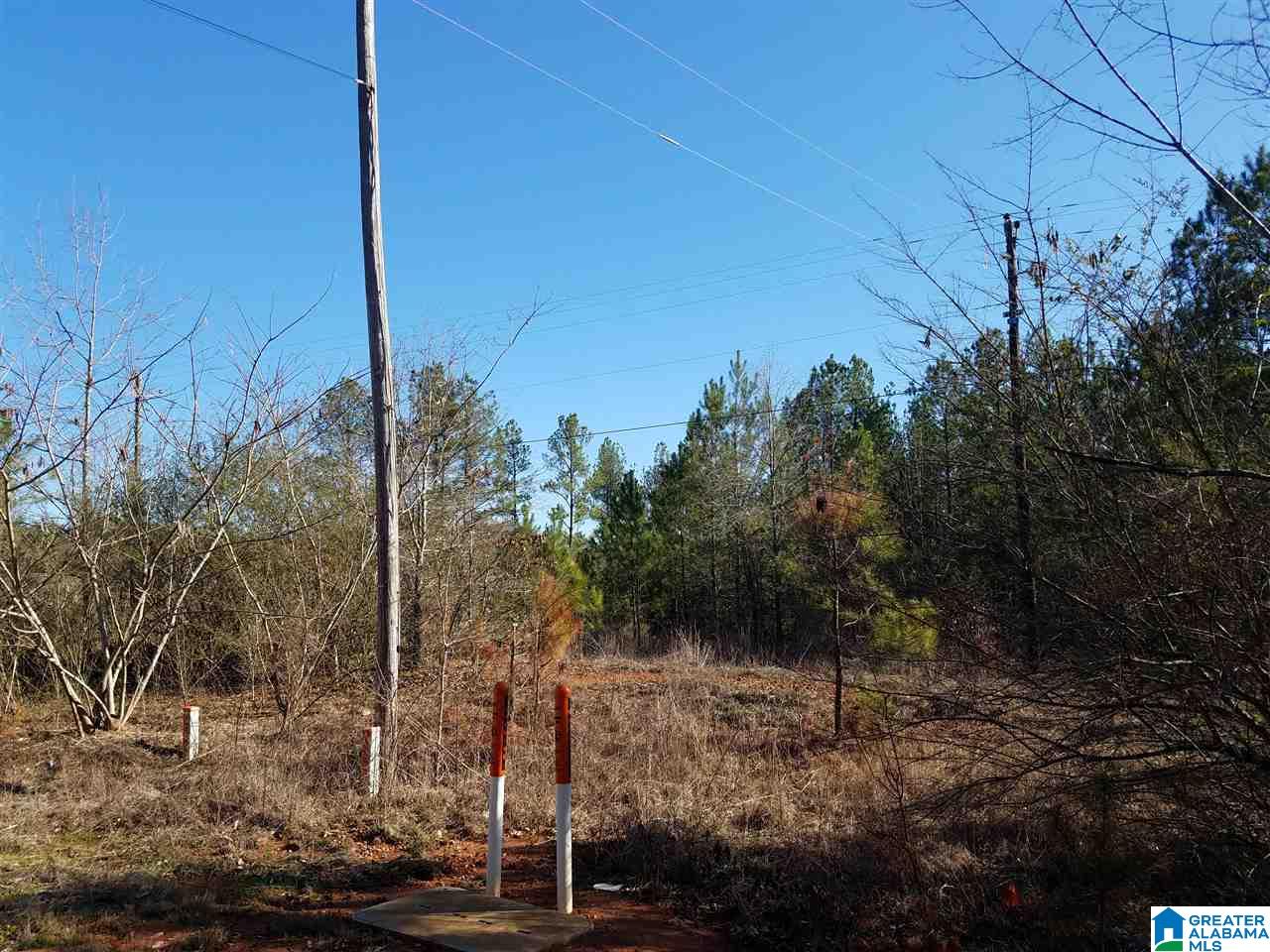 0 Cove Access Road, Unit 7 ACRES Talladega, AL 35160 - Photo 3 of 19