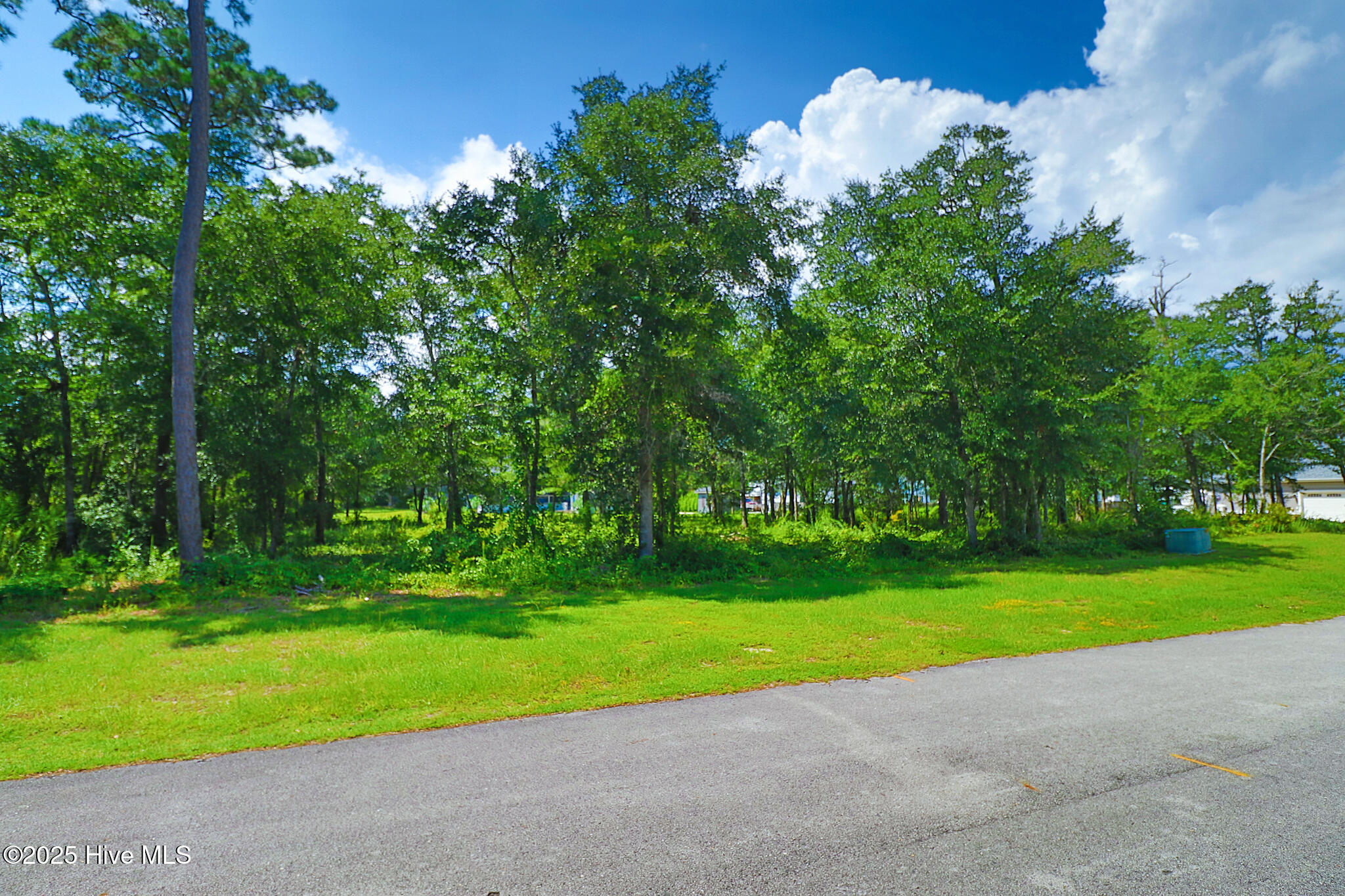 207 Coventry Road Morehead City, NC 28557 - Photo 18 of 25 Vacant lot in Spooner's Creek