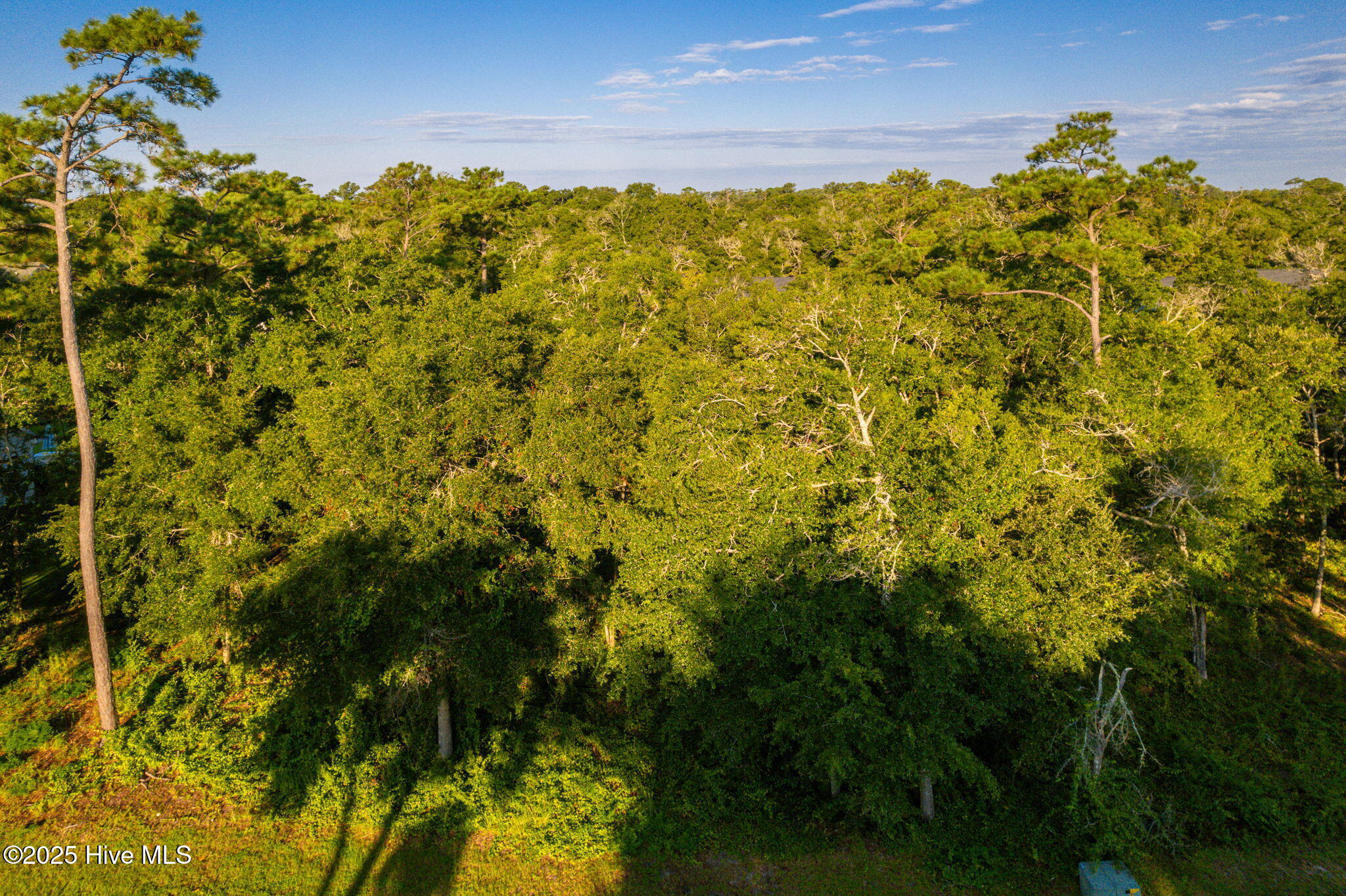 207 Coventry Road Morehead City, NC 28557 - Photo 9 of 25 Vacant lot in Spooner's Creek