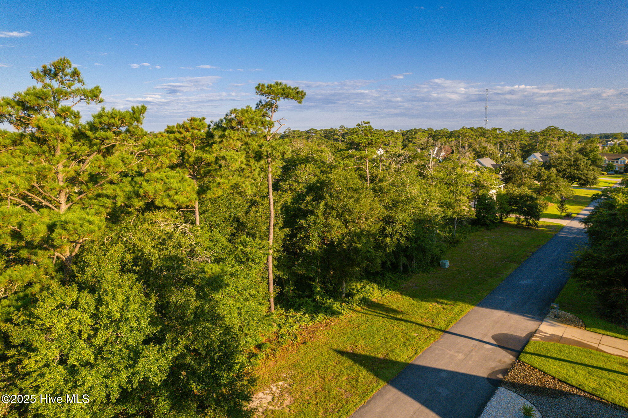207 Coventry Road Morehead City, NC 28557 - Photo 10 of 25 Vacant lot in Spooner's Creek