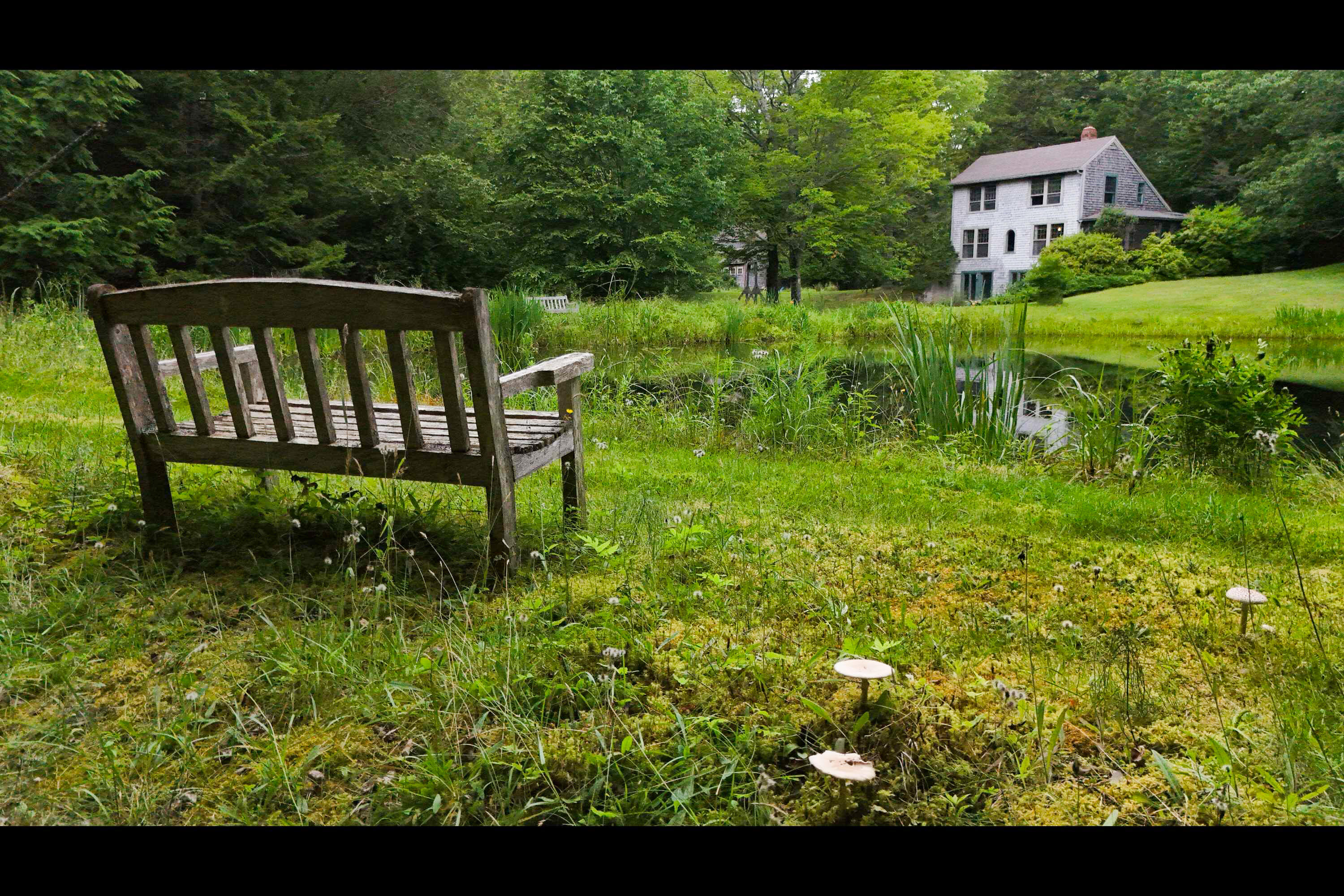 496 Old County Road Sedgwick, ME 04676 - Photo 47 of 65 bench