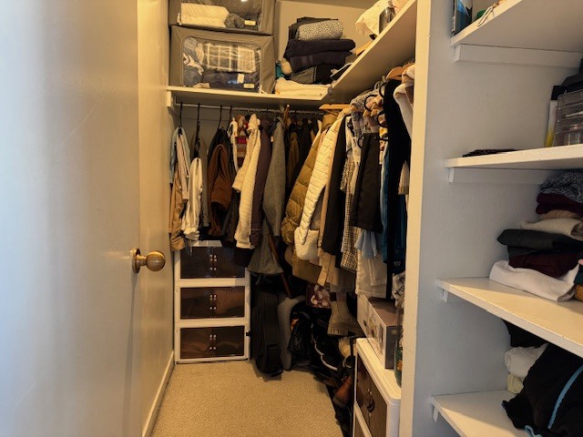 211 East Ohio Street, Unit 2405 Chicago, IL 60611 - Photo 11 of 23