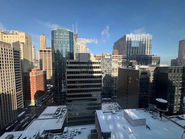 $2,300 | 211 East Ohio Street, Unit 2405, Chicago, IL 60611